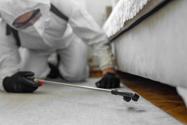 Professional Pest Control technician working in Chatham County County, NC